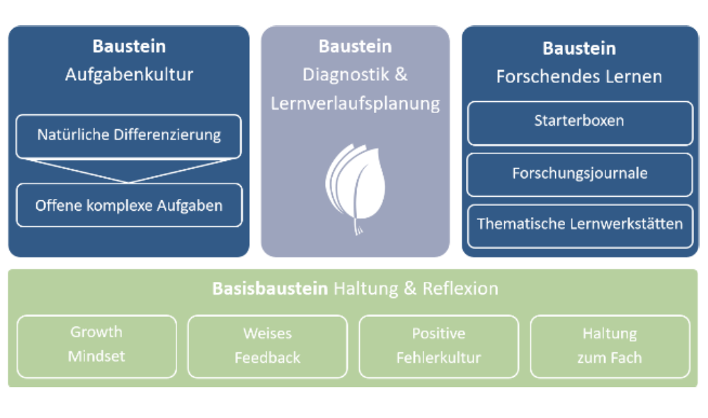 Grundlagen – Biologie (POBF-BU)